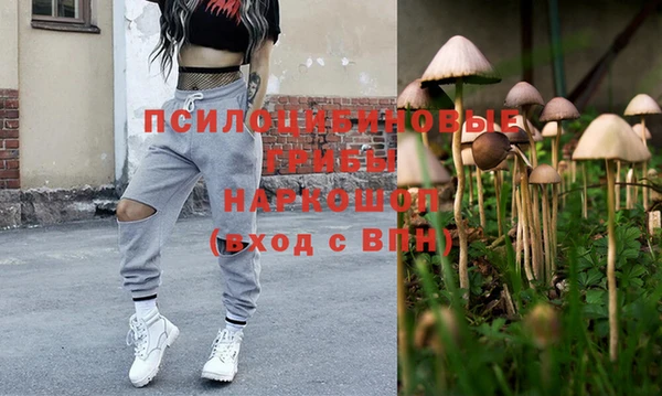 ГАЛЛЮЦИНОГЕННЫЕ ГРИБЫ Кодинск