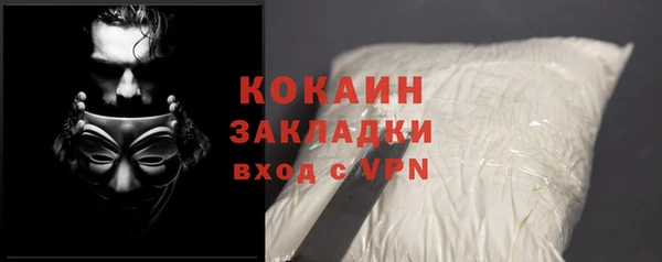 ГАЛЛЮЦИНОГЕННЫЕ ГРИБЫ Кодинск