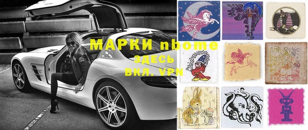 прущие грибы Козловка