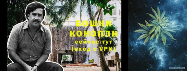 прущие грибы Козловка
