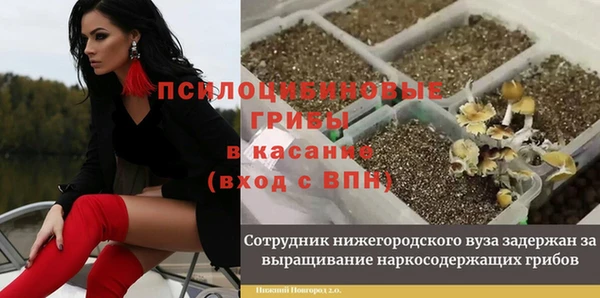 эйфоретик Костерёво