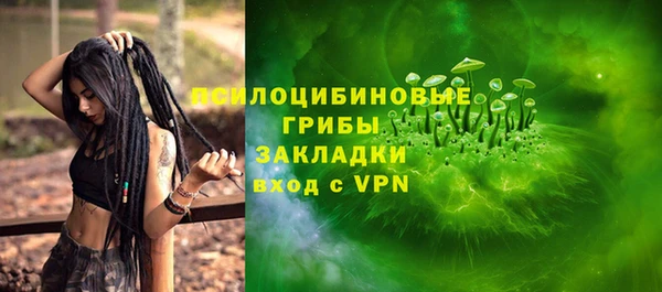 ГАЛЛЮЦИНОГЕННЫЕ ГРИБЫ Кодинск