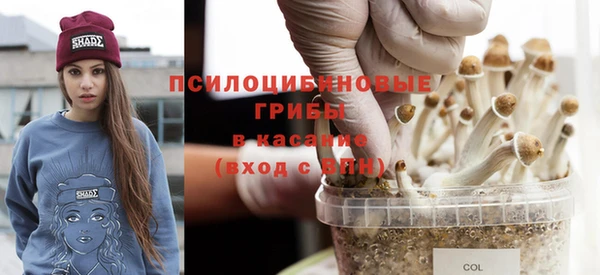 прущие грибы Козловка