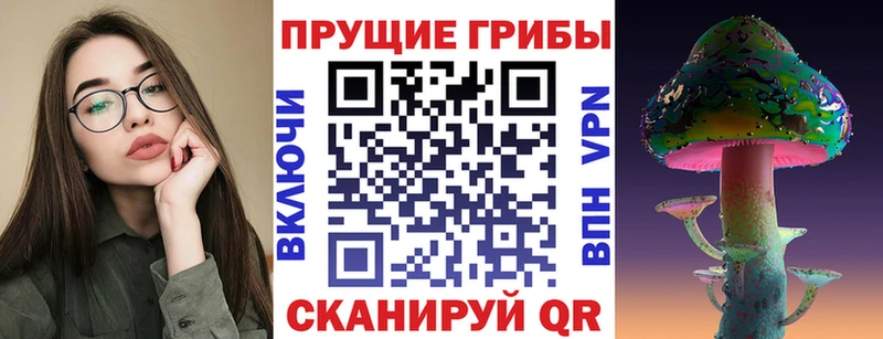 Галлюциногенные грибы Magic Shrooms  где купить   Адыгейск 