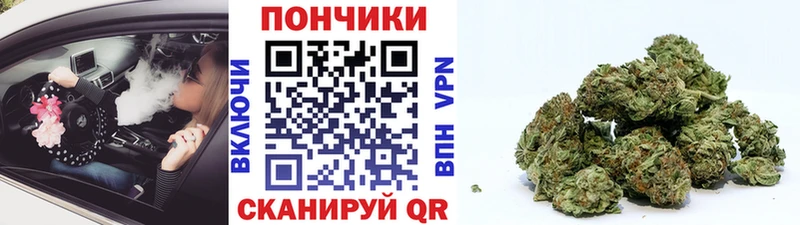 цена   Адыгейск  маркетплейс как зайти  Бошки Шишки ГИДРОПОН 